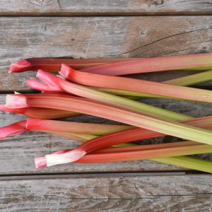 Rhubarbe Glaskins -bio- Jardins Écoumène