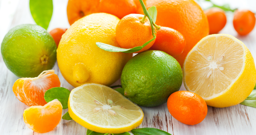 Cultiver des fruits exotiques au Québec c'est possible! Pépinière Locas