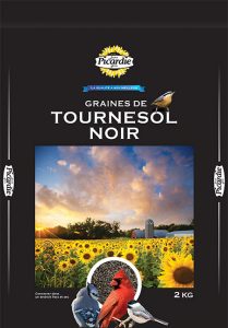 Tournesol noir