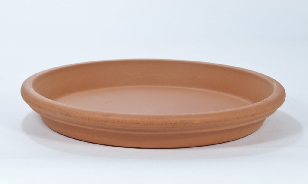 Pot en terre cuite 25 cm : le choix idéal pour vos plantes