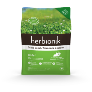 Semence à gazon Herbionik – Écoturf