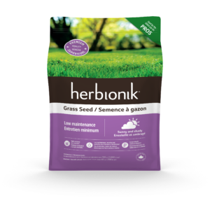 Semence à gazon Herbionik- entretien minimum