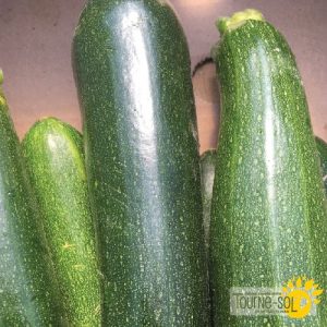 Courgette Dark green