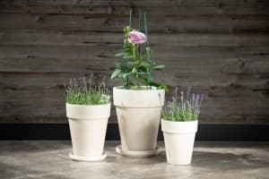Pot XL Allemagne Granite