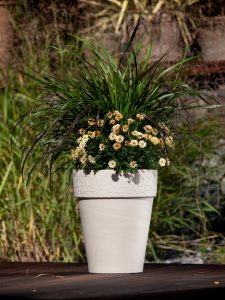 Pot Granite Roccia
