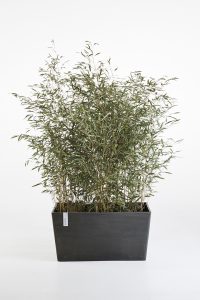 Ecopot Paris