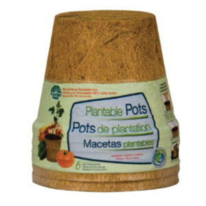 Pots en fibres de coco – paquet de 6