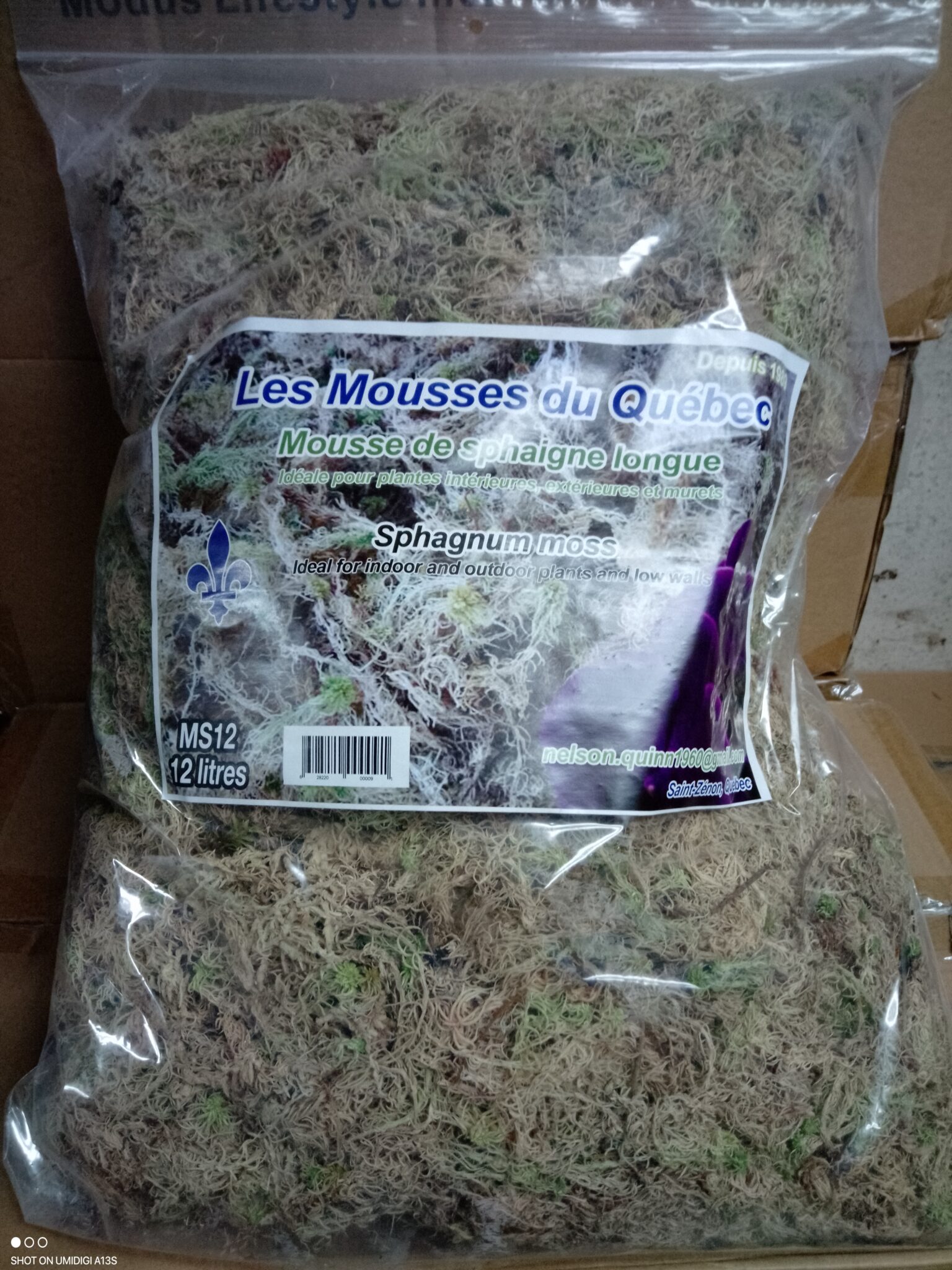 Mousse De Sphaigne Naturelle 6L - Rétention D'Eau Et Aération Parfaite Pour Orchidées Phalaenopsis