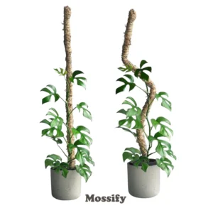 Tuteur en mousse avec base de pierre  16 po